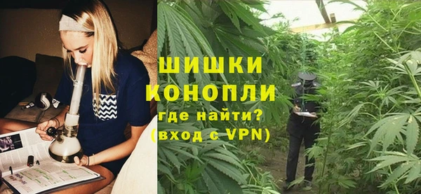 молекула духа Михайловск