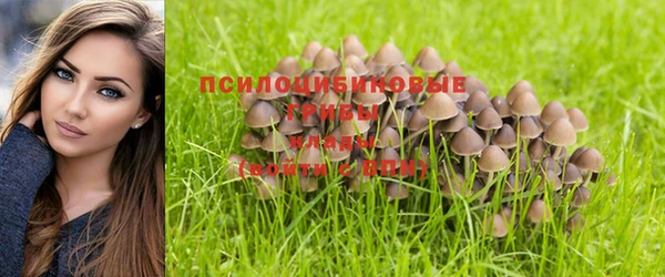 гашиш Мегион