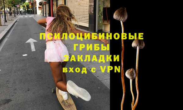 прущая мука Михайлов